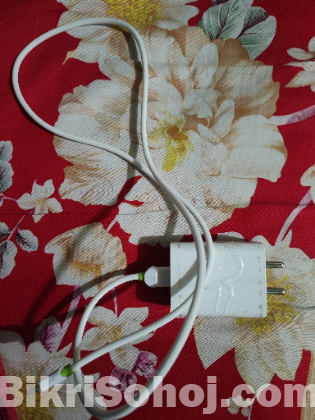 Charger 100wt